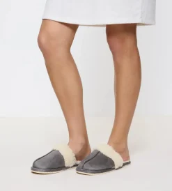 Accessories Slipper 03-Triumph