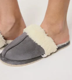 Accessories Slipper 03-Triumph