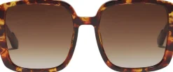 ALIET sunglasses tortoise brown/gold-Pilgrim New