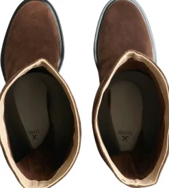 AMARA 485-Lloyd Clearance