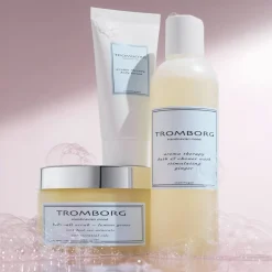 Aroma Therapy Bath & Shower Wash Ginger-Tromborg Best