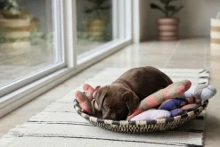 OYOY MINI Til Boligens Kæledyr>Ashi Hundelegetøj - Stor