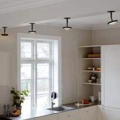 Asteria Spot-UMAGE Hot