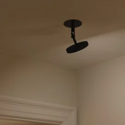 Asteria Spot-UMAGE Hot