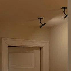 Asteria Spot-UMAGE Hot