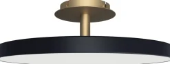 New Asteria Up anthracite Ø 60 cm Loftlamper