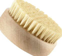 Badebørste Inu 8,6 x 3,9 cm Bøg-Zone New