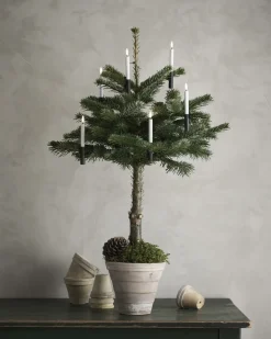 Discount Battery box, plain, Dark green Elektriske Julelys