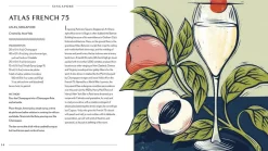 Behind the Bar: Gin Bøger