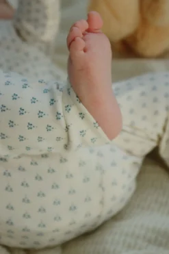 Hot BELLO 2 PACK PANTS OCS Børn Underdele