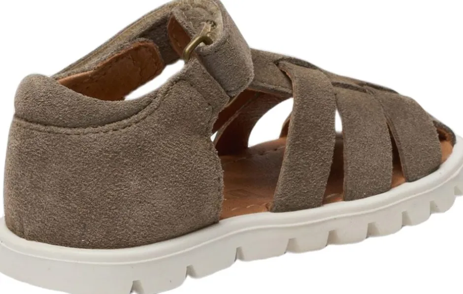 beka s-Bisgaard Best