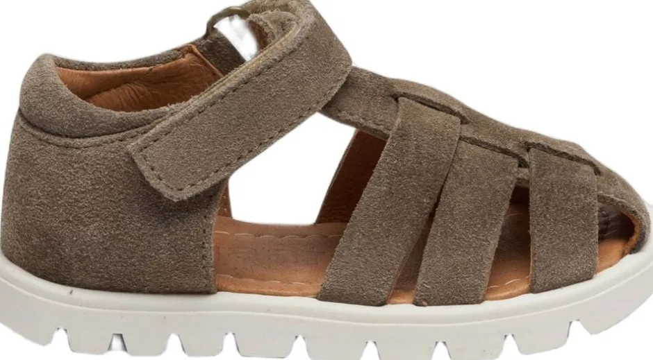 beka s-Bisgaard Best