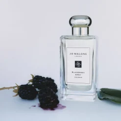 Blackberry & Bay Cologne-Jo Malone London Sale