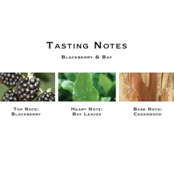Blackberry & Bay Cologne-Jo Malone London Sale