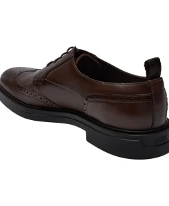 Calev_Derb_ltbrfb-BOSS