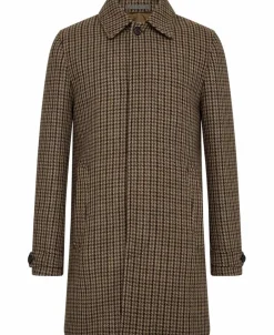 Cane-Tiger of Sweden