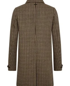 Cane-Tiger of Sweden