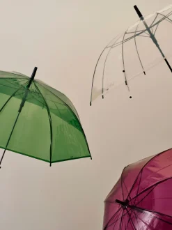 Canopy Umbrella-Hay Discount