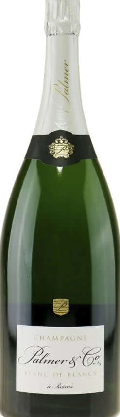 Hot Champagne - Palmer & Co Blanc de Blancs in Giftbox Spiritus|Champagne