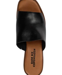 Charlotte-Shoe Biz Best