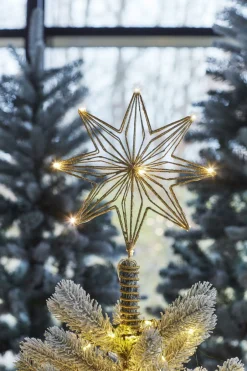 Chloe Topstjerne-Sirius Online