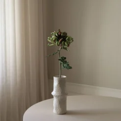 Chrysanthemum Flower-Botané Hot