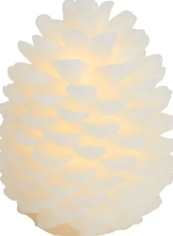 Clara Kogle-Sirius Best