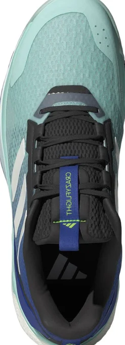 Crazyflight 5 Håndboldsko Træningssko & Sneakers