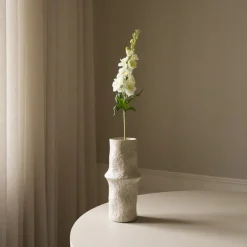 Delphinium Flower-Botané Online