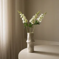 Delphinium Flower-Botané Online