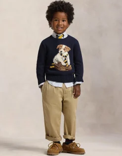 Dog-Intasia Cotton Sweater-Polo Ralph Lauren Sale