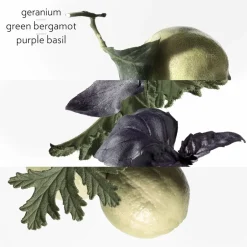 HERMÈS Eau De Cologne><noscript><img width=