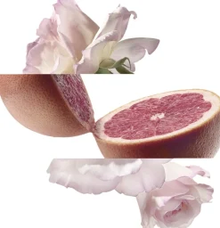 Hot Eau de pamplemousse rose Eau de Cologne Eau De Cologne