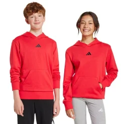 Børn adidas Sweatshirts & Træningstrøjer>Essentials Hættetrøje