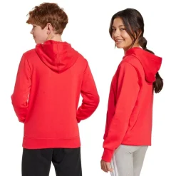 Børn adidas Sweatshirts & Træningstrøjer>Essentials Hættetrøje