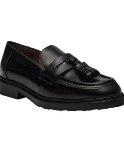 EVA 62-Wonders Outlet