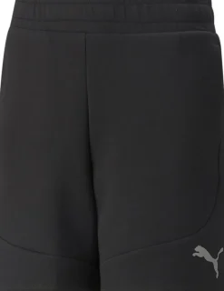 Puma Træningsshorts>Evostripe 15" shorts