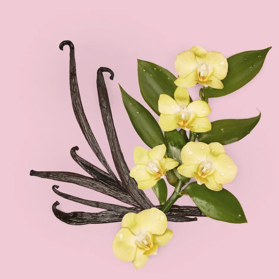 Gucci Eau De Parfum>Flora Gorgeous Orchid Eau de parfum