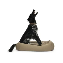 Hundeseng-Fossflakes Clearance