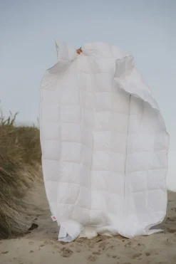 Fossflakes Dyner><noscript><img width=