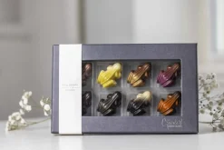 Clearance Frog parade Chokolade