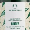 Online Ginger Scalp Care Conditioner Hårpleje