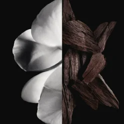 Online Gentleman boisee Eau de parfum Eau De Toilette