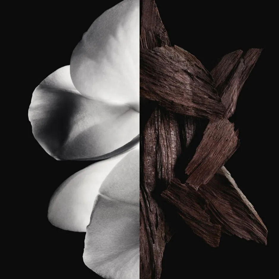 Online Gentleman boisee Eau de parfum Eau De Toilette