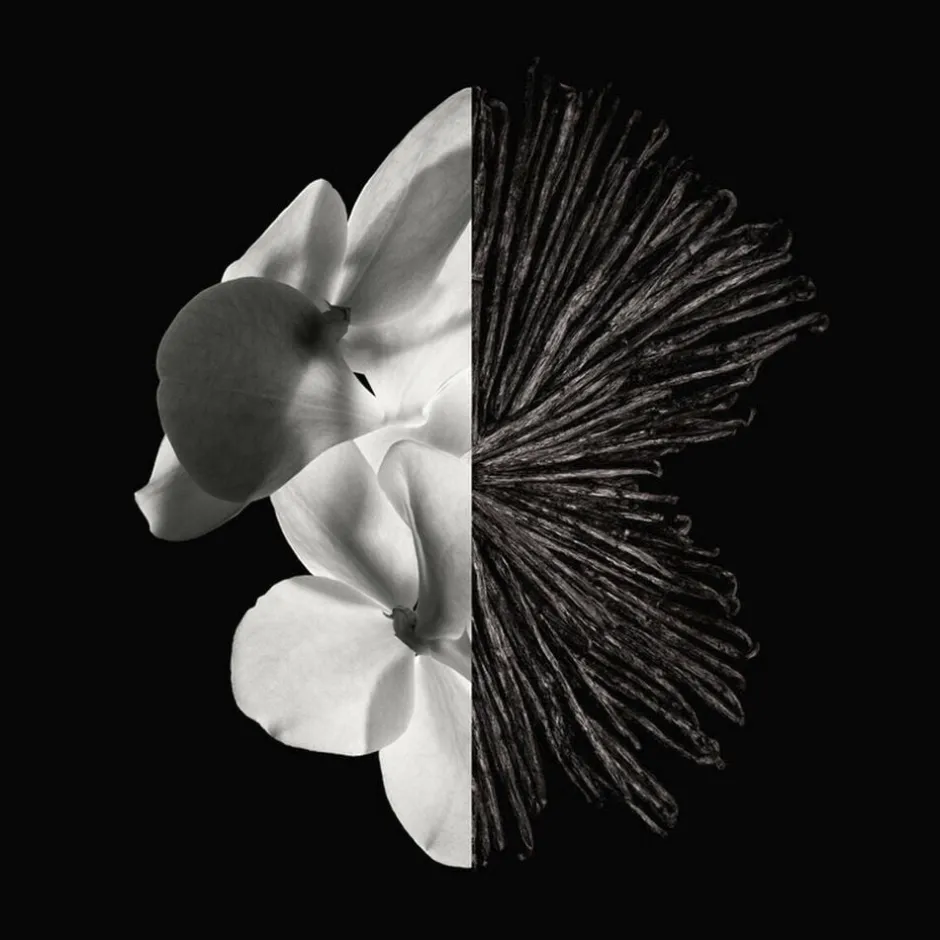 Gentleman Eau de parfum-Givenchy New