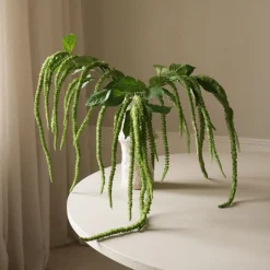 Green Three Forks Amaranthus Flower-Botané