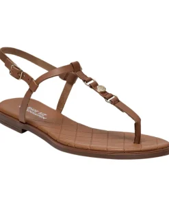 Gry-Shoe Biz Discount