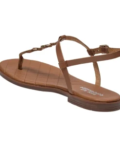 Gry-Shoe Biz Discount