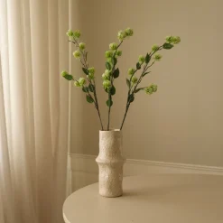 Hamamelis Branch-Botané