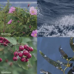 Discount HAV 75ml Hand Cream Hånd- Og Fodpleje